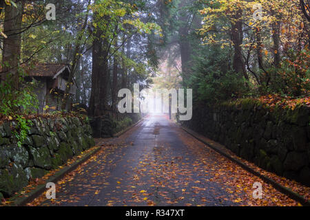 Une petite allée, street, lan à Nikko, Japon à la hauteur de la couleur de l'automne, feuille de changer. Strong leader bas de la ruelle. Banque D'Images