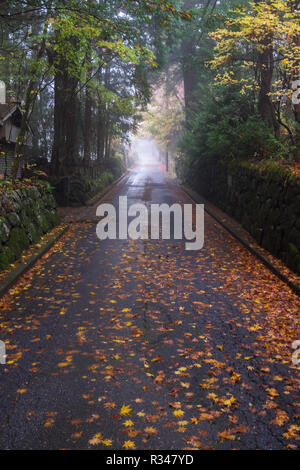 Une petite allée, street, lan à Nikko, Japon à la hauteur de la couleur de l'automne, feuille de changer. Strong leader bas de la ruelle. Banque D'Images