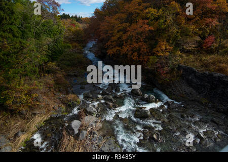 La rivière Daiya passant par Nikko, Japon au maximum de la couleur de l'automne. Banque D'Images