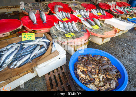 Poisson à vendre à un marché de fruits de mer en Turquie Banque D'Images