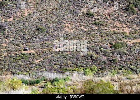 Les cyclistes le désert du Karoo National Botanical Garden à Worcester dans la province du Cap-Occidental en Afrique du Sud. Banque D'Images