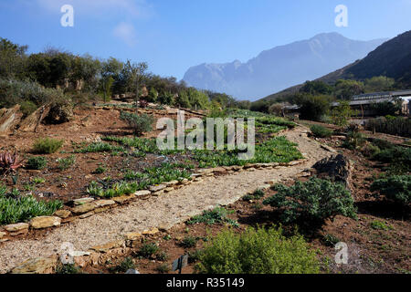 Un sentier pédestre dans le désert du Karoo National Botanical Garden à Worcester dans la province du Cap-Occidental en Afrique du Sud. Banque D'Images