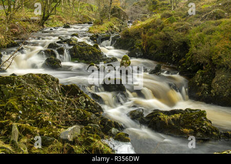 Watendlath Beck après une forte pluie, dans le parc national du Lake District, Cumbria. Banque D'Images