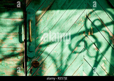 Vieille porte verte ou un mur d'une maison en bois dans un style rustique, avec de la peinture.L'ombre d'une des barres en fer forgé, dessin en noir et blanc Banque D'Images