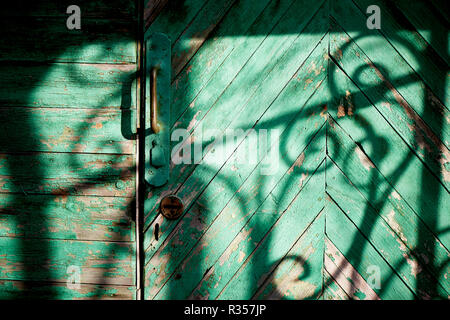 Vieille porte verte ou un mur d'une maison en bois dans un style rustique, avec de la peinture.L'ombre d'une des barres en fer forgé, dessin en noir et blanc Banque D'Images