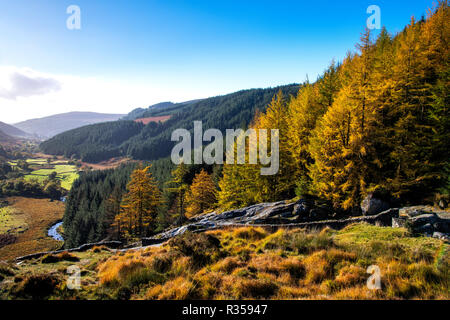 Voir l'automne de Glenmacnass waterfall Banque D'Images