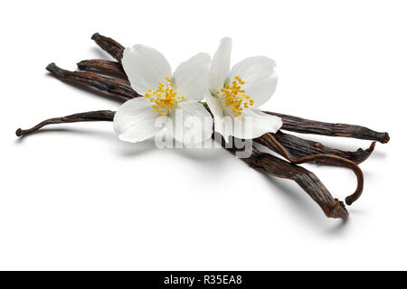 Bâtons de vanille avec fleurs de jasmin Banque D'Images
