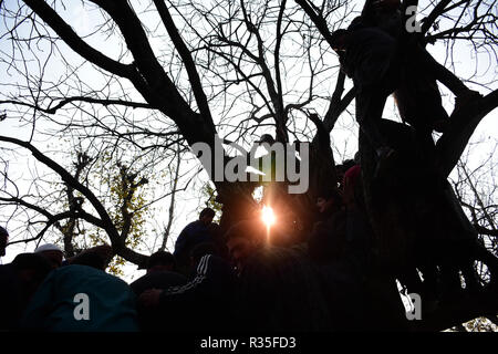 Pulwama, Inde. 20 Nov, 2018. Les musulmans du Cachemire d'assister aux funérailles de l'Abid Chopan rebelle qui a été tué lors d'une rencontre dans le district de Shopian Cachemire indien le 20 novembre 2018. Quatre rebelles ont été tués dans un affrontement armé entre les forces indiennes au Cachemire et rebelles qui ont été identifiés comme de l'Inam ul Haq, Feripora Paddarpora Chopan de Nazir Abid, Mehraj ud Din de Drawni Zainapora Najar et Basharat Ahmad d Chotigam. Deux parachutistes indiens ont également été tués dans la fusillade. Credit : Muzamil Mattoo/Pacific Press/Alamy Live News Banque D'Images