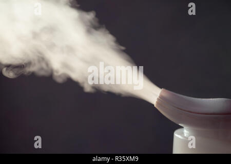 La propagation de l'humidificateur à vapeur dans l'obscurité Banque D'Images