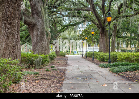 Les lanternes dans Forsyth Park à Savannah, GA Banque D'Images