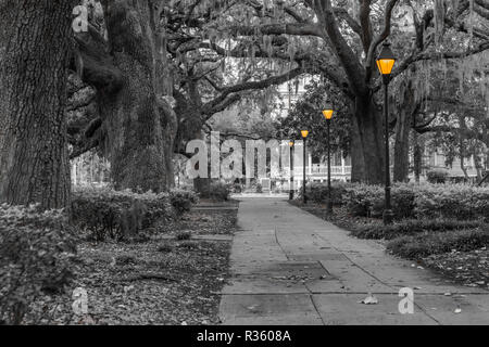 Les lanternes dans Forsyth Park à Savannah, GA Banque D'Images