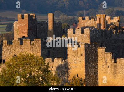 Lumière du soir sur Ludlow Castle seen from Common Whitcliffe, Shropshire. Banque D'Images