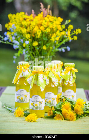 Sirop de fleurs de pissenlit Banque D'Images