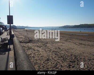 Des groupes de promeneurs de chiens sur Instow Beach North Devon UK Banque D'Images
