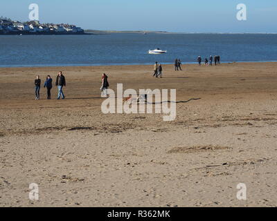 Des groupes de promeneurs de chiens sur Instow Beach North Devon UK Banque D'Images