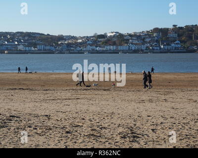 Des groupes de promeneurs de chiens sur Instow Beach North Devon UK Banque D'Images