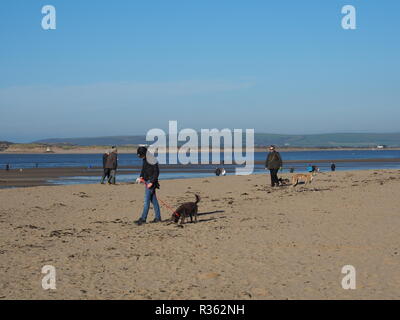 Des groupes de promeneurs de chiens sur Instow Beach North Devon UK Banque D'Images