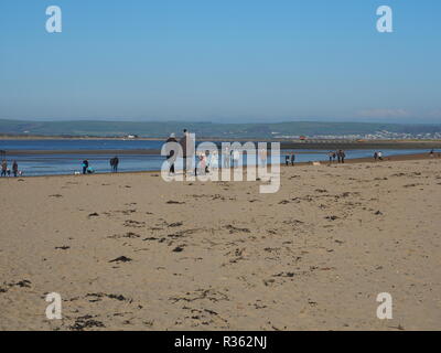 Des groupes de promeneurs de chiens sur Instow Beach North Devon UK Banque D'Images