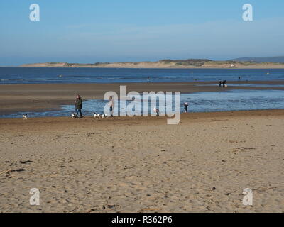 Des groupes de promeneurs de chiens sur Instow Beach North Devon UK Banque D'Images