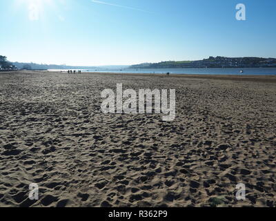 Des groupes de promeneurs de chiens sur Instow Beach North Devon UK Banque D'Images