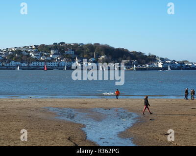 Des groupes de promeneurs de chiens sur Instow Beach North Devon UK Banque D'Images