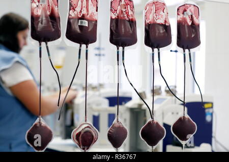 Les sacs de sang au Centre de Transfusion Sanguine de Karlovy Vary (Karlsbad), République Tchèque Banque D'Images