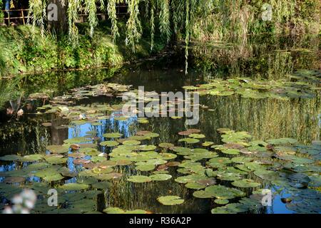 Les nénuphars et les jardins, maison et Jardins de Claude Monet à Giverny, France Banque D'Images