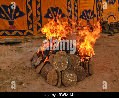 RAJASTHAN INDE OUVRIR LE FEU DES PLAQUES séchées au soleil de la bouse de vache Banque D'Images