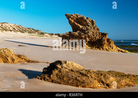 Tête de lézard Rock se trouve sur la péninsule de Mornington. Banque D'Images