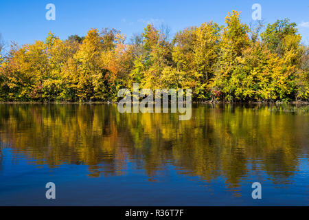 Rivière des Mille-Îles Nature Park à l'automne, Québec, Canada Banque D'Images