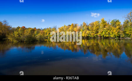 Rivière des Mille-Îles Nature Park à l'automne, Québec, Canada Banque D'Images