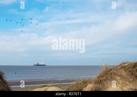 CROSBY, ANGLETERRE - 6 novembre, 2018 : vol d'oies sur Crosby Beach en Amérique du Liverpool appelé un autre lieu qui contient 100 moulages de corps dans les sables Banque D'Images