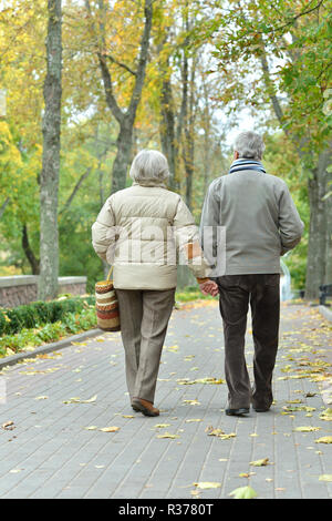 Portrait of senior couple in autumn park Banque D'Images