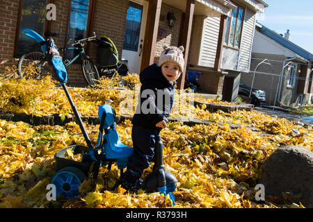 Cute baby boy en automne Banque D'Images