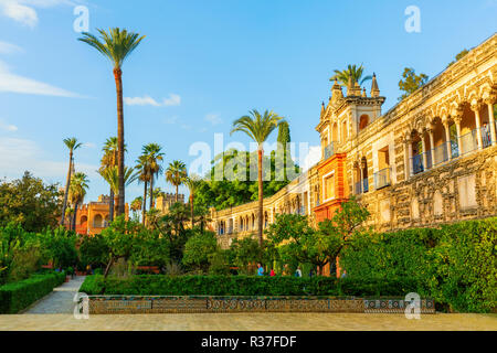 Séville, Espagne - 14 novembre 2018 : l'intérieur de l'Alcazar de Séville avec des personnes non identifiées. C'est le plus ancien palais royal encore en usage en Europe, r Banque D'Images