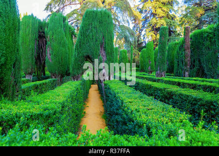 Séville, Espagne - 14 novembre 2018 : le jardin labyrinthe dans l'Alcazar de Séville avec des personnes non identifiées. C'est le plus ancien palais royal encore en usage dans Banque D'Images