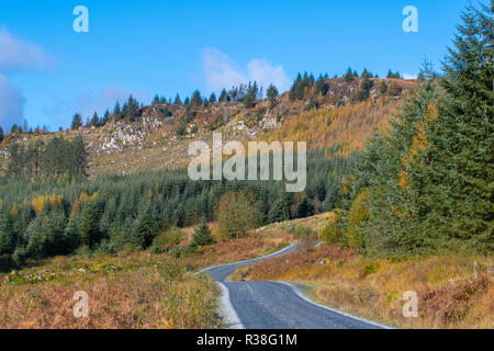 Vues le long de la route dans l'Raiders Galloway Forest Park durant la saison d'automne. Banque D'Images