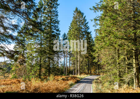 Vues le long de la route dans l'Raiders Galloway Forest Park durant la saison d'automne. Banque D'Images