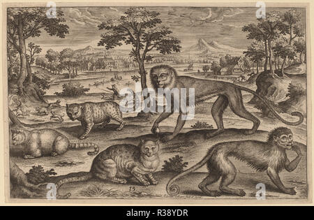 Animalium Quadrupedum. Technique : gravure. Musée : National Gallery of Art, Washington DC. Auteur : Adriaen Collaert. Banque D'Images