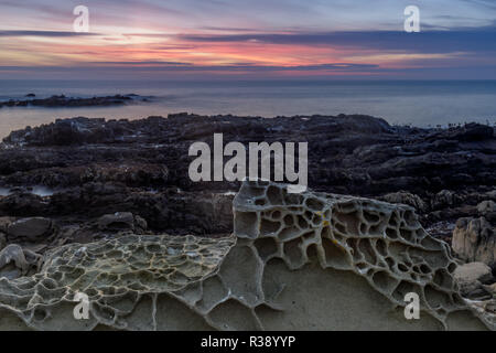 Tafoni rock formations in Bean Hollow State Beach. Banque D'Images