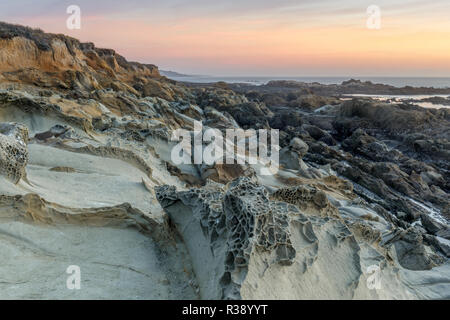 Rock Tafoni reliefs dans Bean Hollow State Beach. Banque D'Images