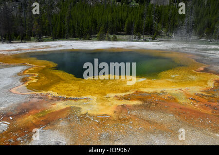 Emerald Hot Spring dans le Parc National de Yellowstone Banque D'Images