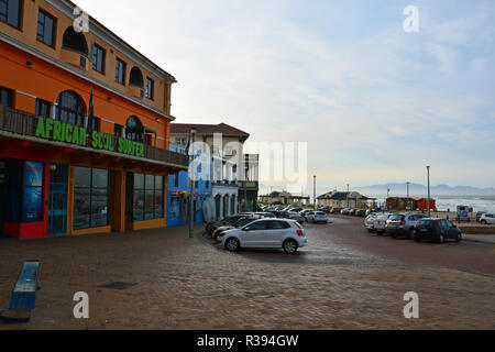 Les surfeurs boutiques tôt le matin à Muizenberg Beach, dans la banlieue de Cape Town, Afrique du Sud. Banque D'Images