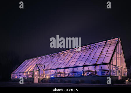 Harrogate, North Yorkshire, UK. 21 novembre 2018. Jardin d'hiver Presse Illuminations événement tenu au RHS Gardens Harlow Carr, Harrogate, North Yorkshire, Royaume-Uni Crédit : Pris Light Photography Limited/Alamy Live News Banque D'Images