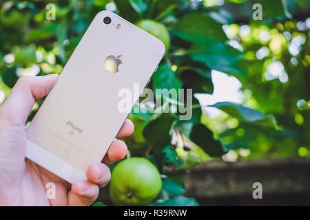 HALMSTAD, Suède - août 9, 2018 : concept image de woman's hand holding nouveau apple iphone blanc ou argent réel se près de apple tree avec fruits mûrs pour le jardin. Selective focus, arrière-plan flou Banque D'Images