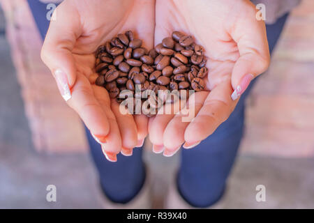 Grains de café dans les mains Banque D'Images