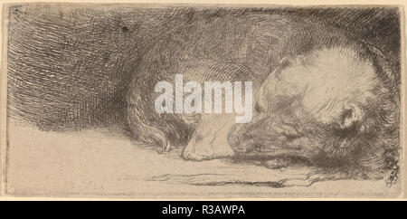 Chiot dormir. En date du : ch. 1640. Technique : eau-forte et pointe sèche. Musée : National Gallery of Art, Washington DC. Auteur : REMBRANDT, Harmenszoon van Rijn. Banque D'Images