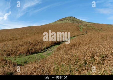 Le Pain de Sucre (596M), Abergavenny Montagnes Noires outlier vu de l'Afrique du versant est, le Pays de Galles Monmouthshire Banque D'Images
