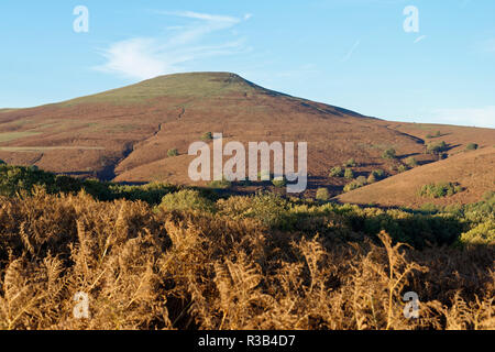 Le Pain de Sucre (596M), Abergavenny Montagnes Noires outlier vu de l'Afrique du Monmouthshire, Wales Banque D'Images