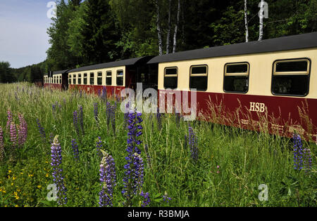 Montagnes russes dans le Harz Banque D'Images